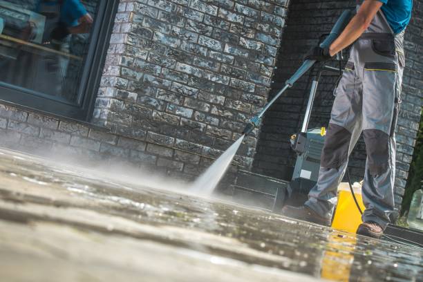 Animal Enclosure Cleaning in Lawtey, FL